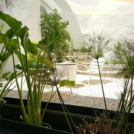 Atrium Apartment Cordoba