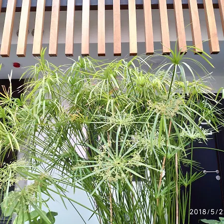 Apartment Atrium *