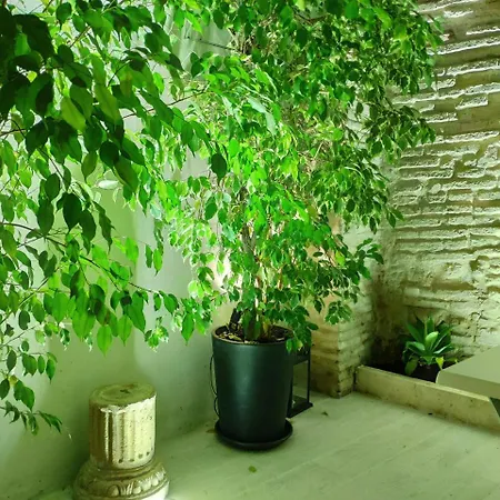 Apartment Atrium *