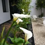 Atrium Apartment *