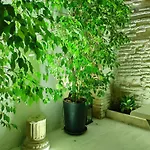 Apartment Atrium *