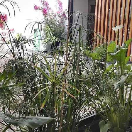 Апартаменты Atrium Кордова
