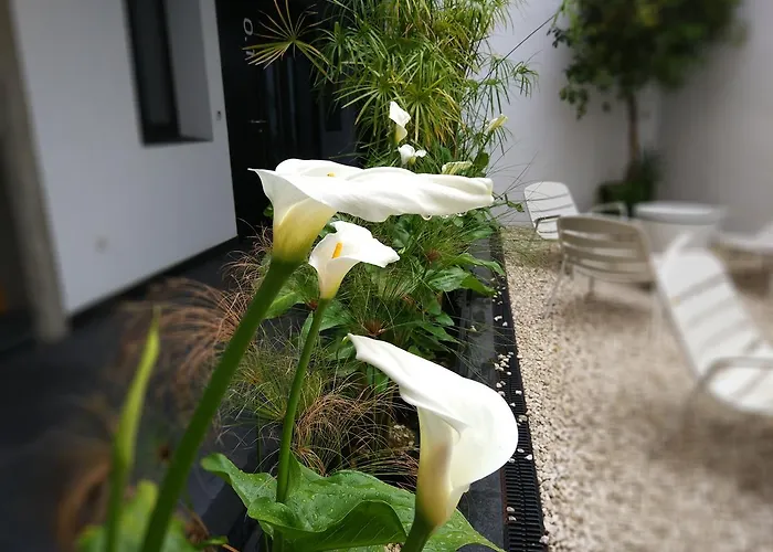 Atrium Апартаменты *