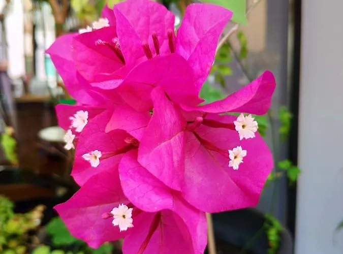 Апартаменты Atrium *